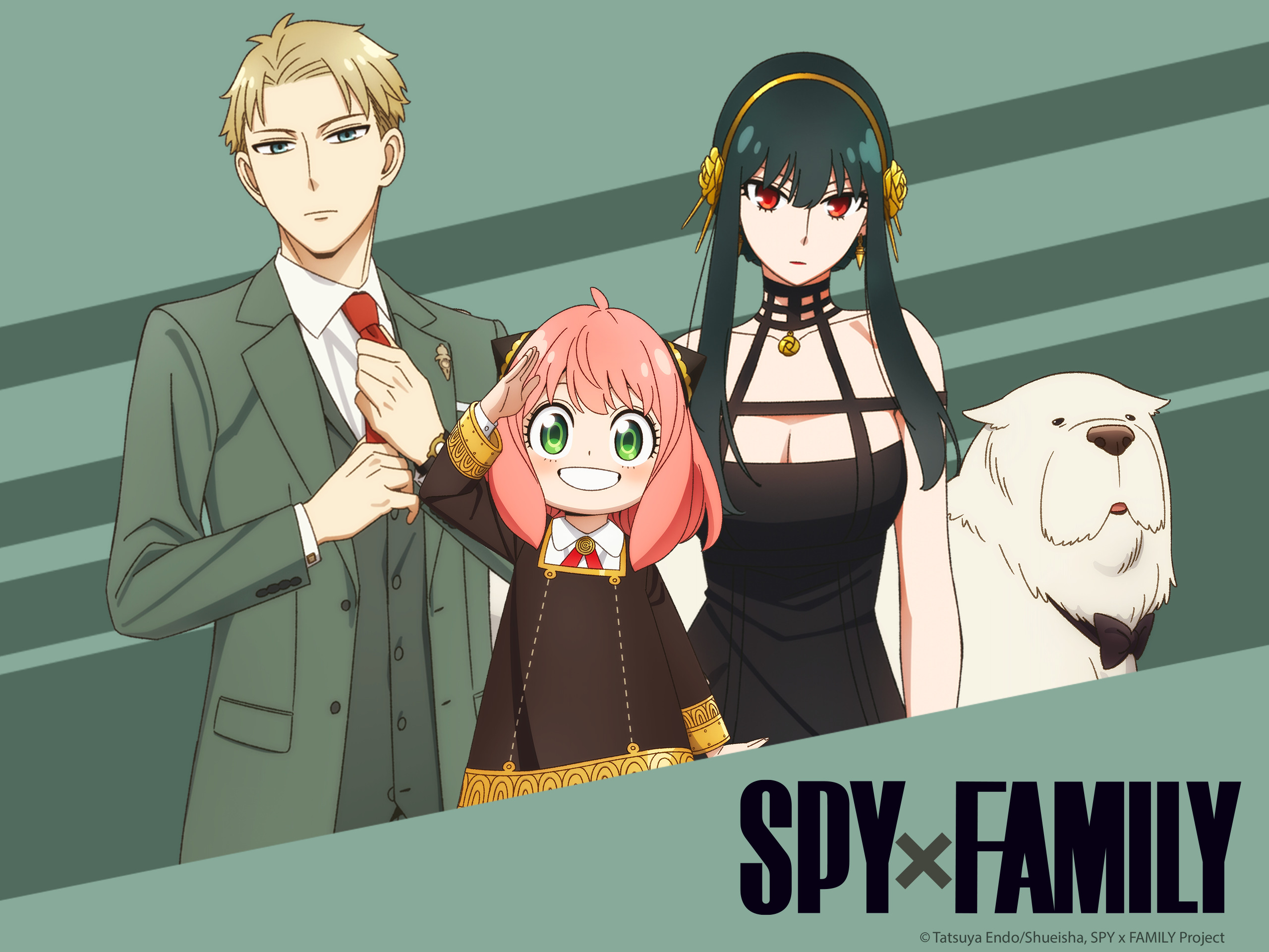 Spy x Family Chapter 120: Release Date, Where to Read, and What Comes Next for Yor and Loid