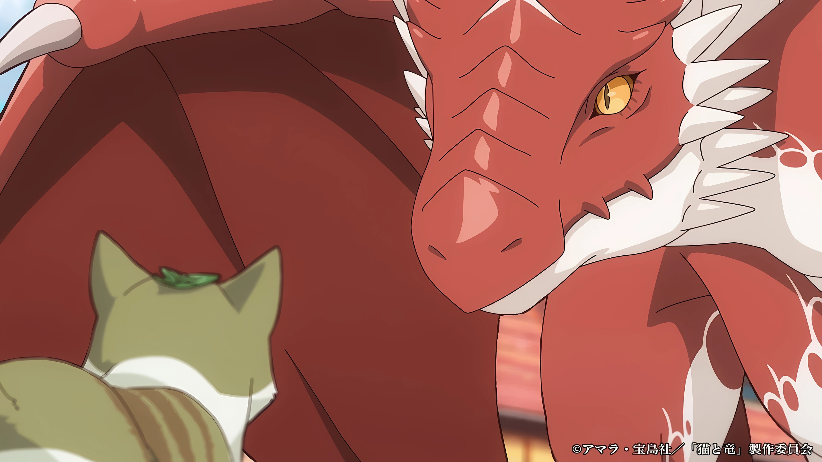 The Cat and the Dragon Anime Sets July 2026 Premiere with New Trailer and Visual